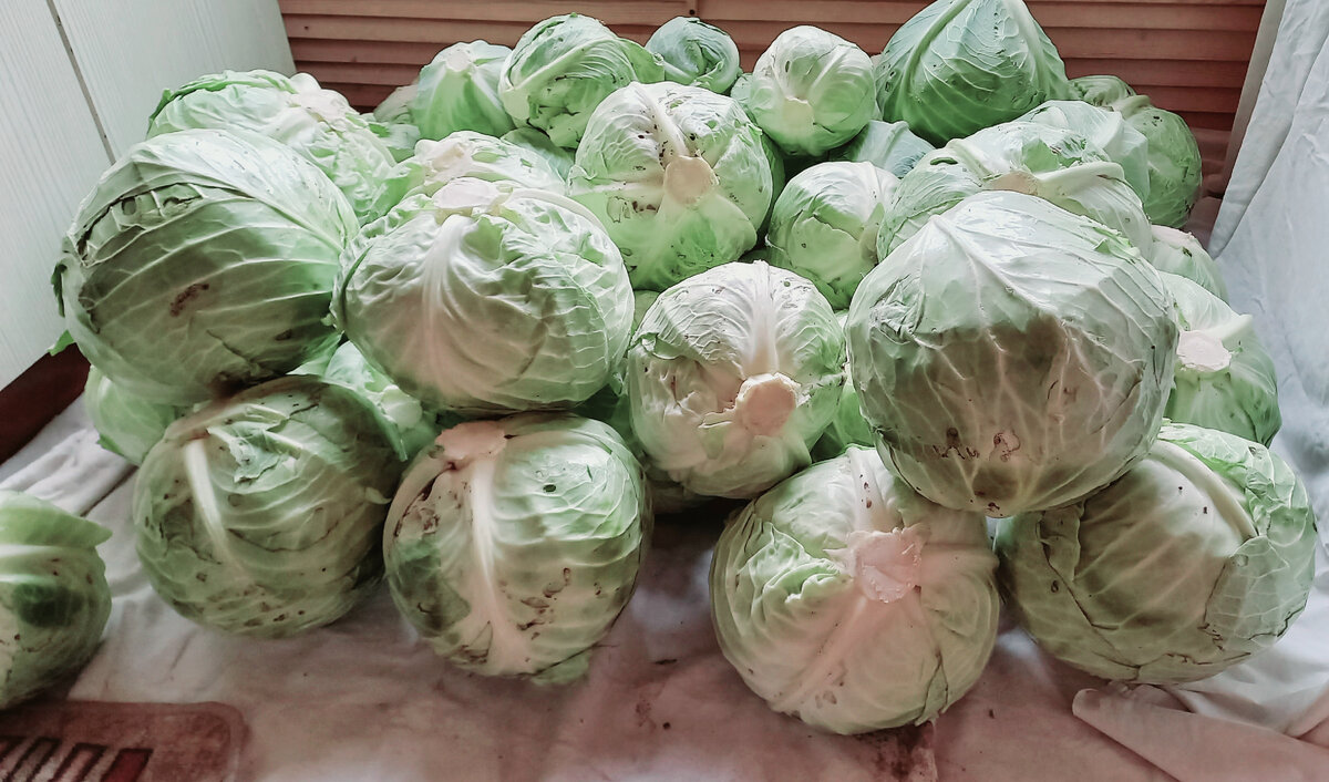 Фото из моего архива