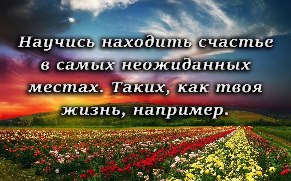 Высказывания о счастье. Афоризмы про счастье. Ищите свое счастья. Найти счастье.