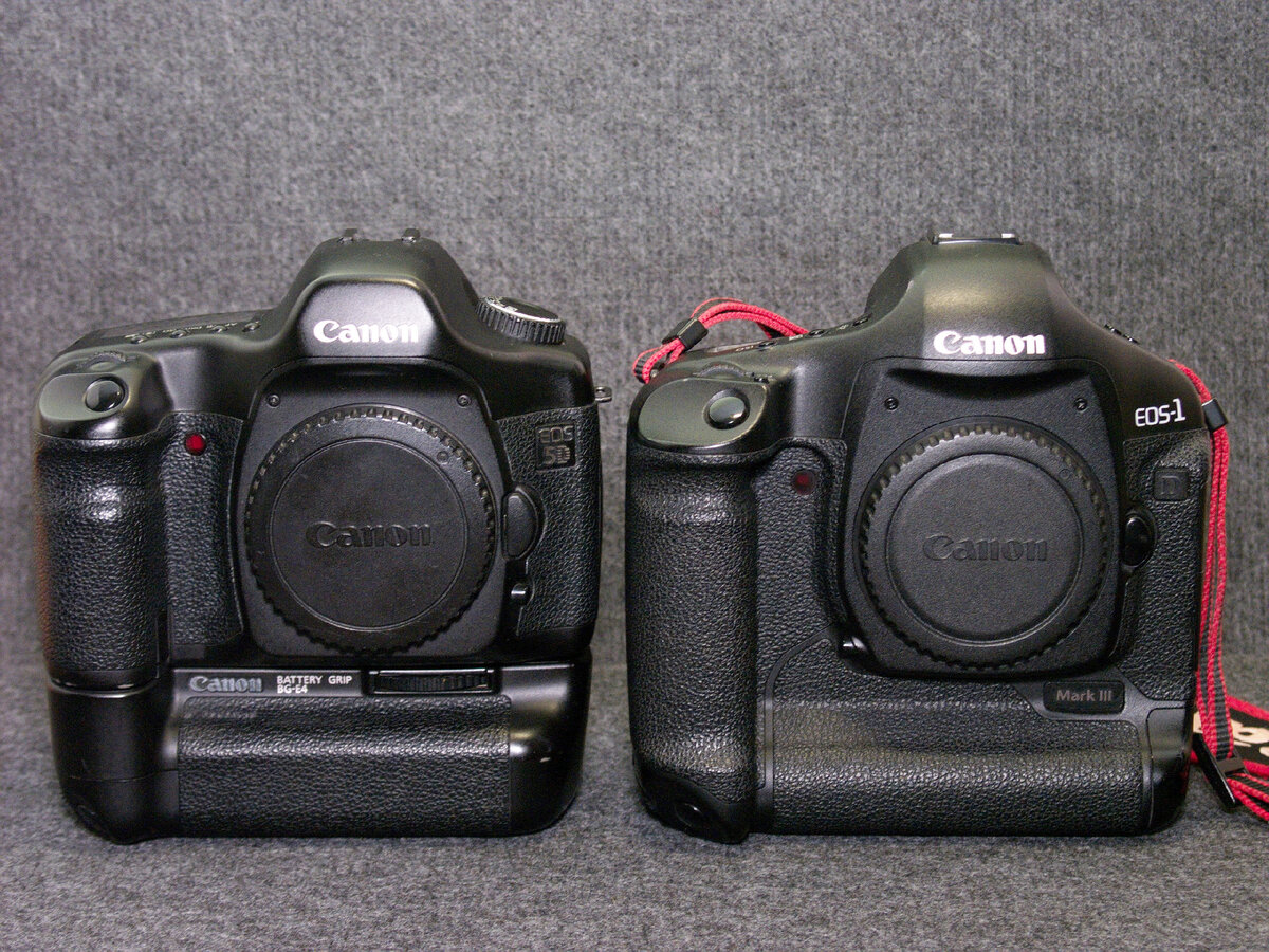 Canon EOS 5D Classic с батарейной рукояткой и Canon EOS 1D Mark III