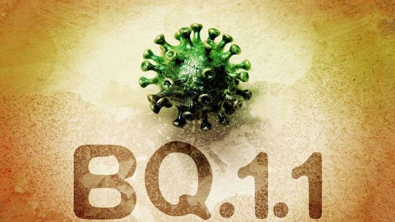    corono-virus.ru