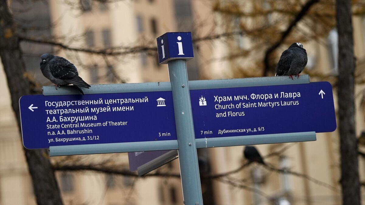    Голуби сидят на указателе© РИА Новости / Мария Девахина