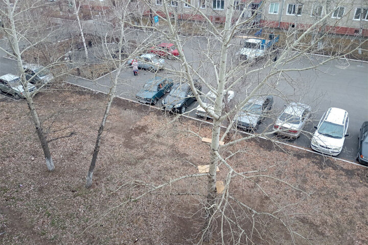 Фото: читатели 19rusinfo.ru