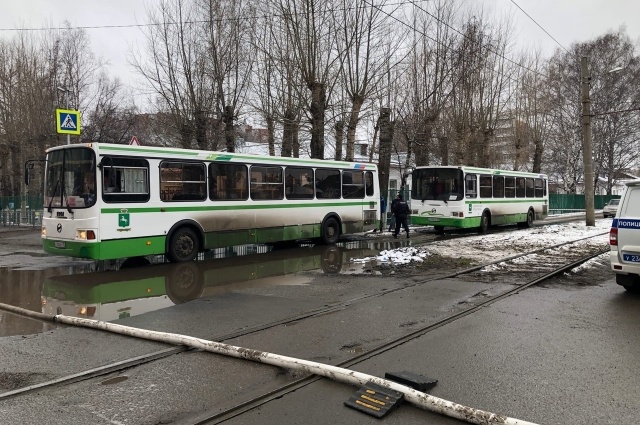    Фото: Комсомольская правда Томск/ Кирилл Колемасов