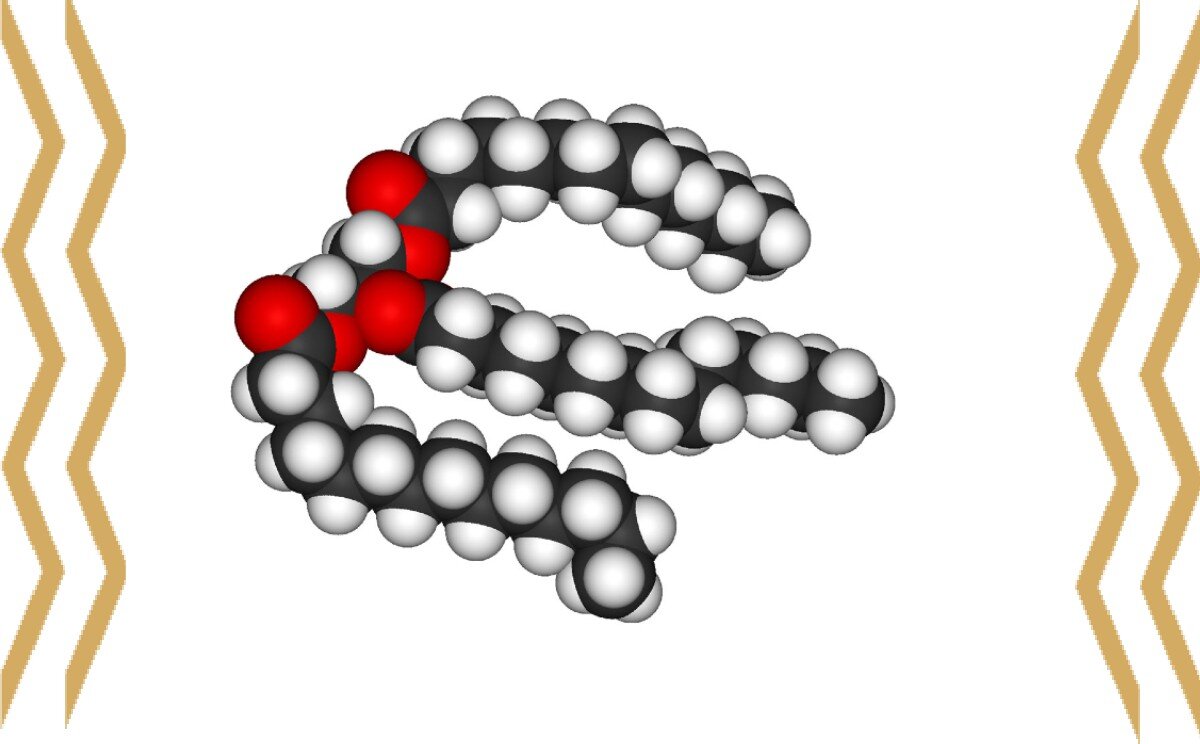 молекула триглицерида