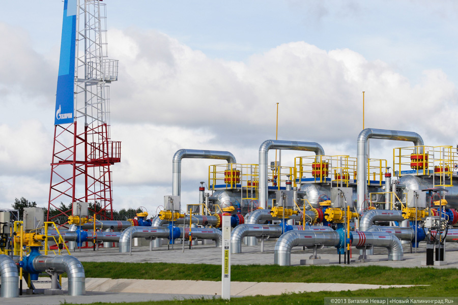 Фото: Виталий Невар / Новый Калининград