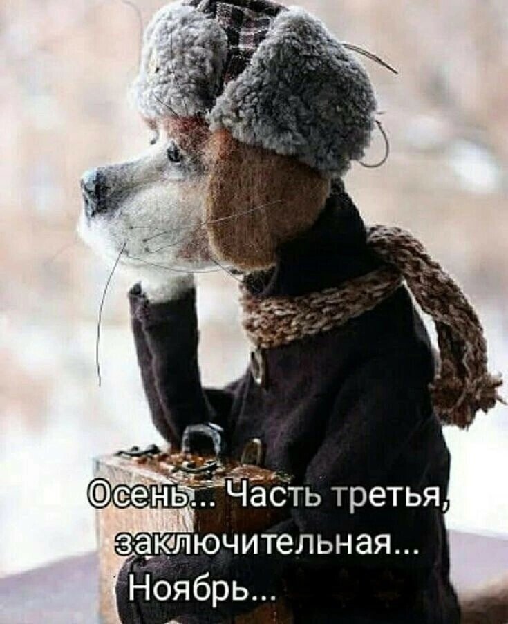 Фото не моё