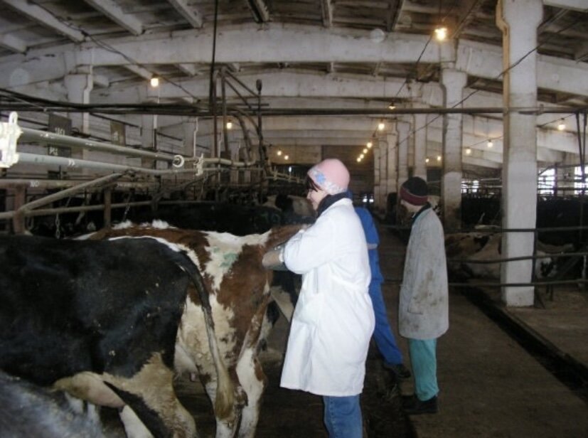 Занимательная практика