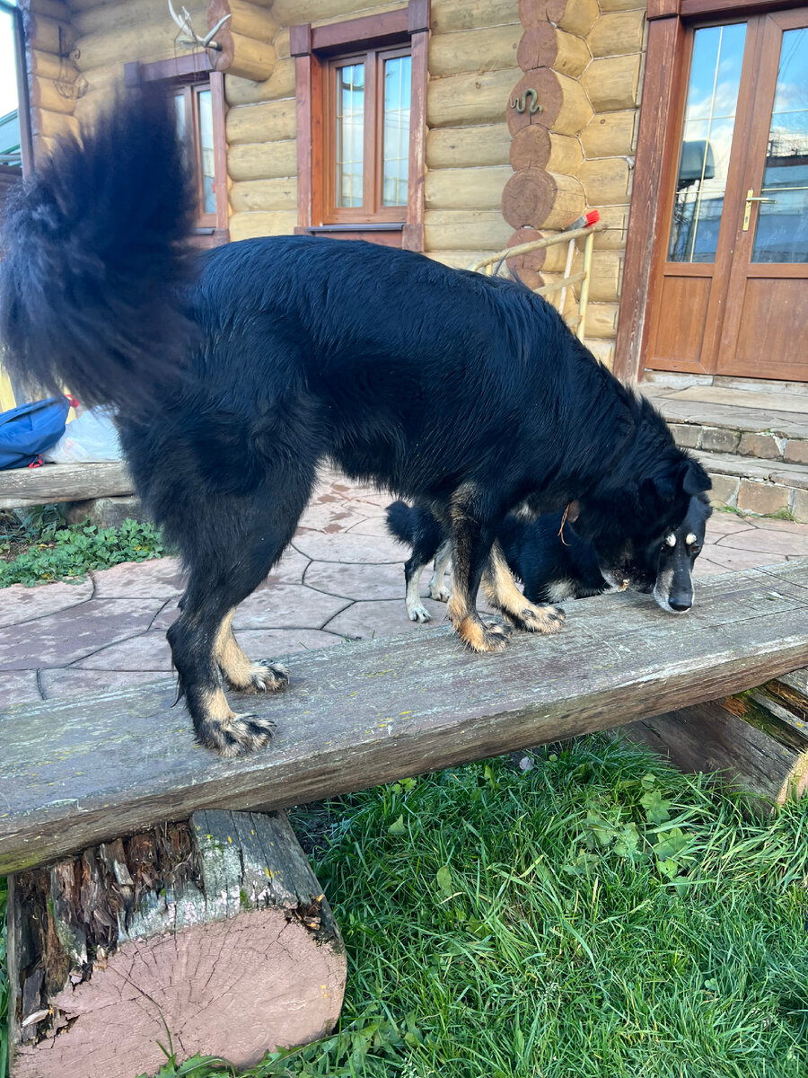 Мадам Клепа, что там у нас с затратами? 