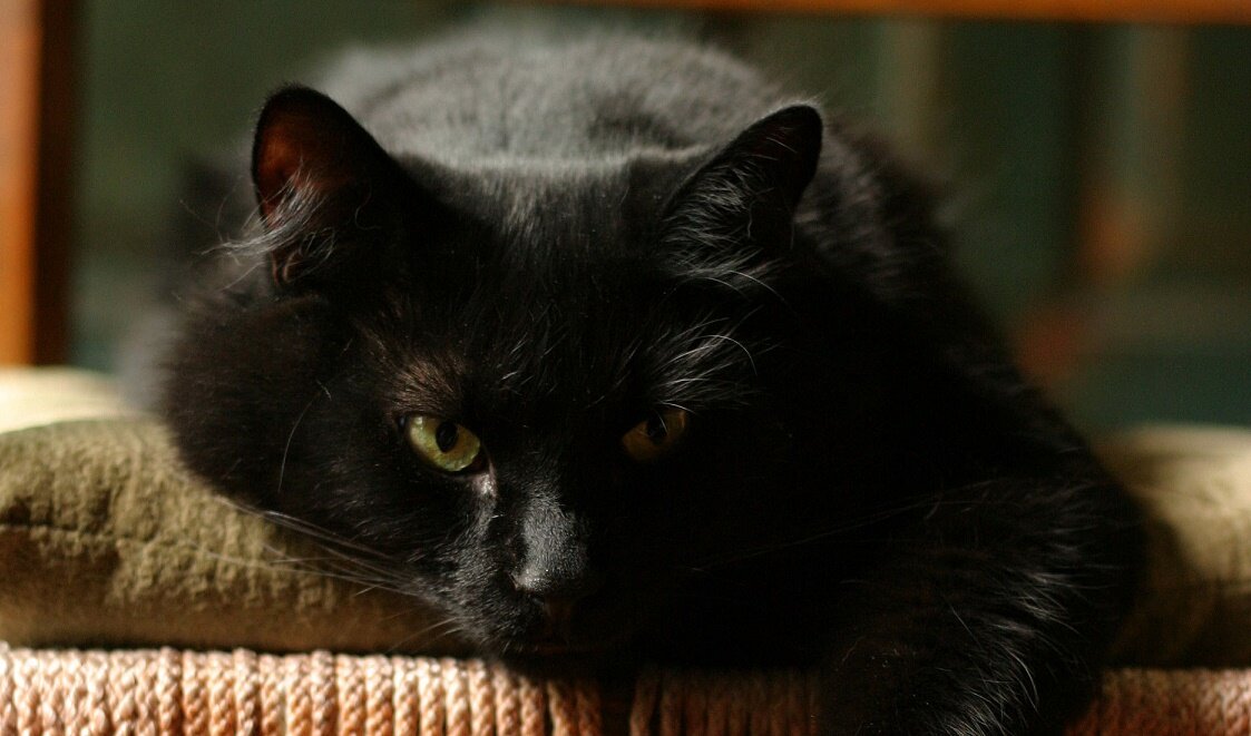 фото из свободного доступа.