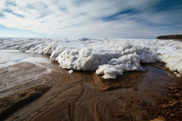    Фото: pixabay.com