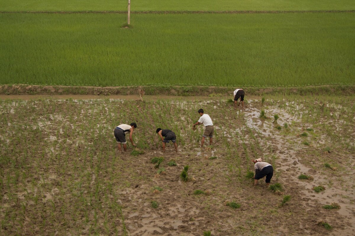 Много ручного труда