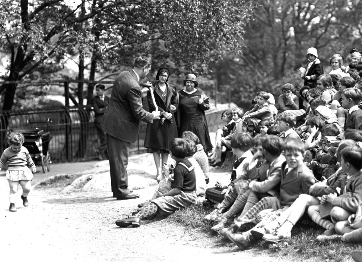 Изображение взято с открытых источников 