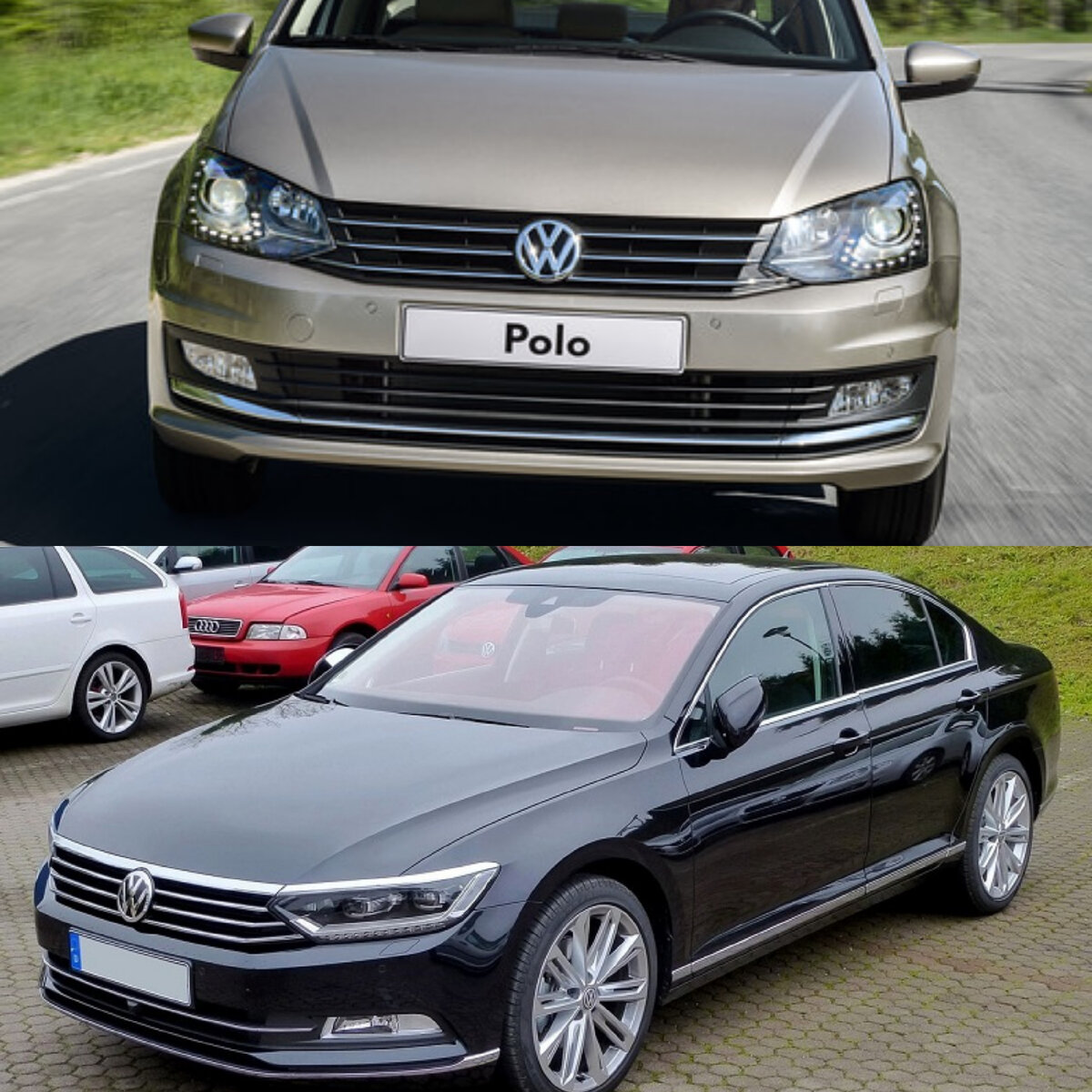 Polo и Passat : Сравнение двух представителей Volkswagen | АвтоКосмос | Дзен