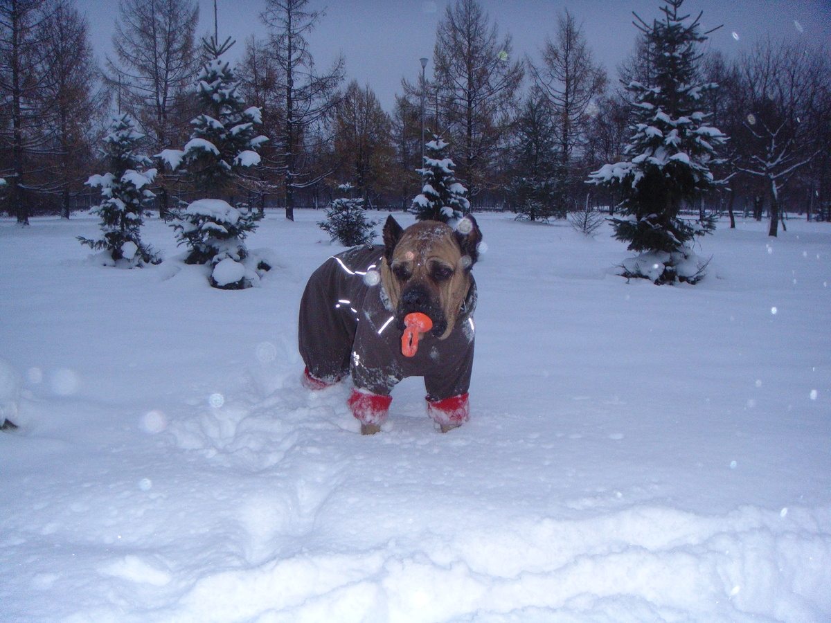 Зима. Никак не расстаться с новой игрушкой. Гуляем ночью в том парке.