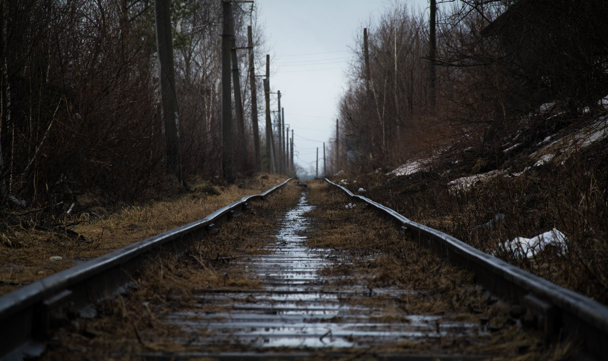 Фото в дорога в никуда