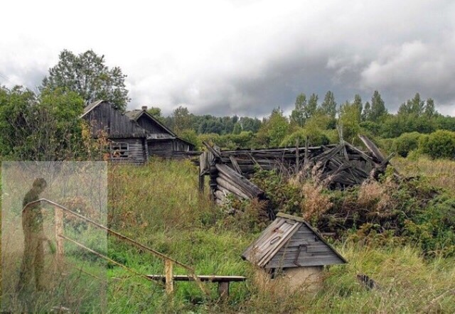 фото взято из интернета