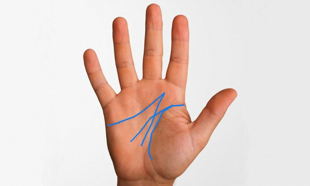 Знаки руками. Коррекция линий на руке практика. Символы на руке 2023. Линии ума, жизни руки человека с рас. Знак на руке вопрос