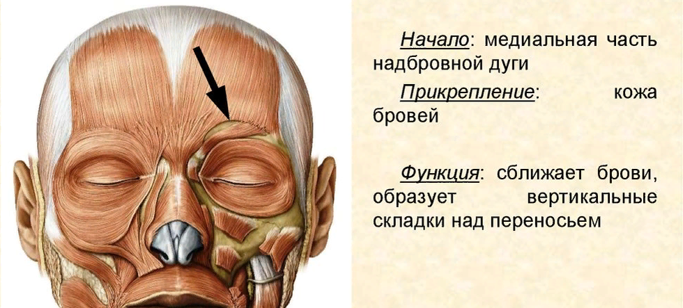 К чему дергается левый