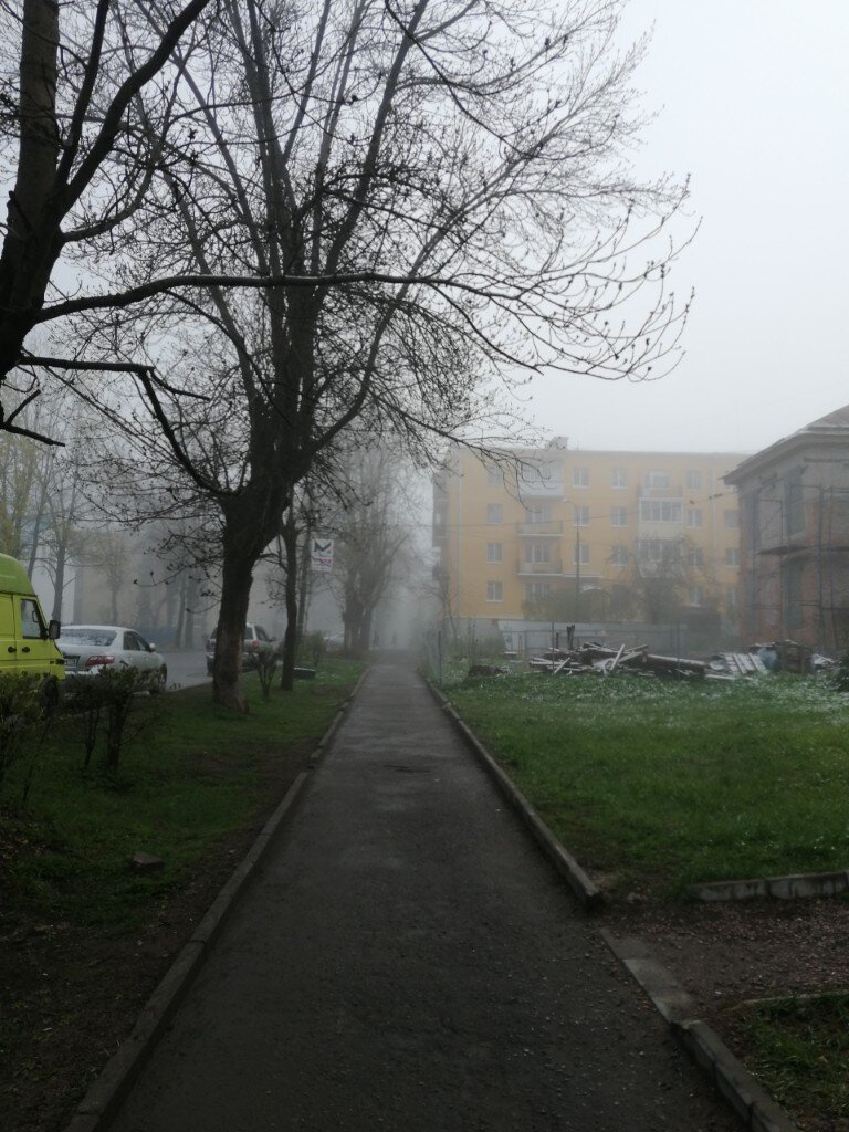 Фото: vk.com/gatchina47