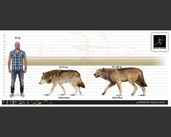 Наш герой - справа