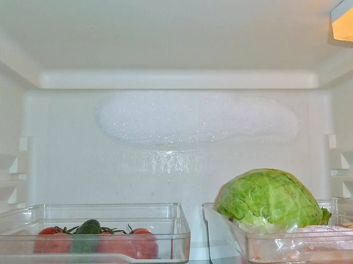 Почему в холодильнике образуется лед. Капельный холодильник Атлант задняя стенка холодильника. Холодильник Атлант намерзает задняя стенка холодильника. Намерзает лед в холодильнике Атлант. Намораживает испаритель холодильник Атлант.