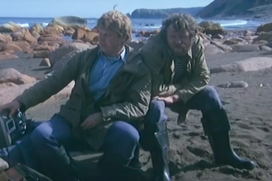 Кадр из фильма "Белые Росы".