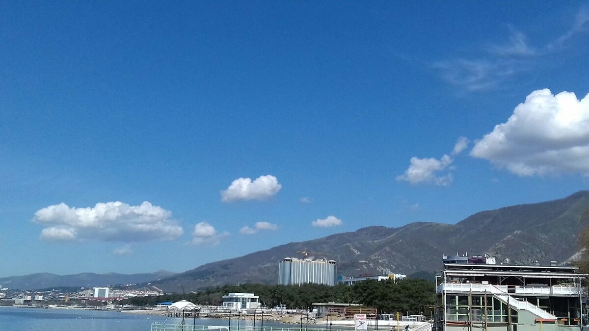 Лето  в городе