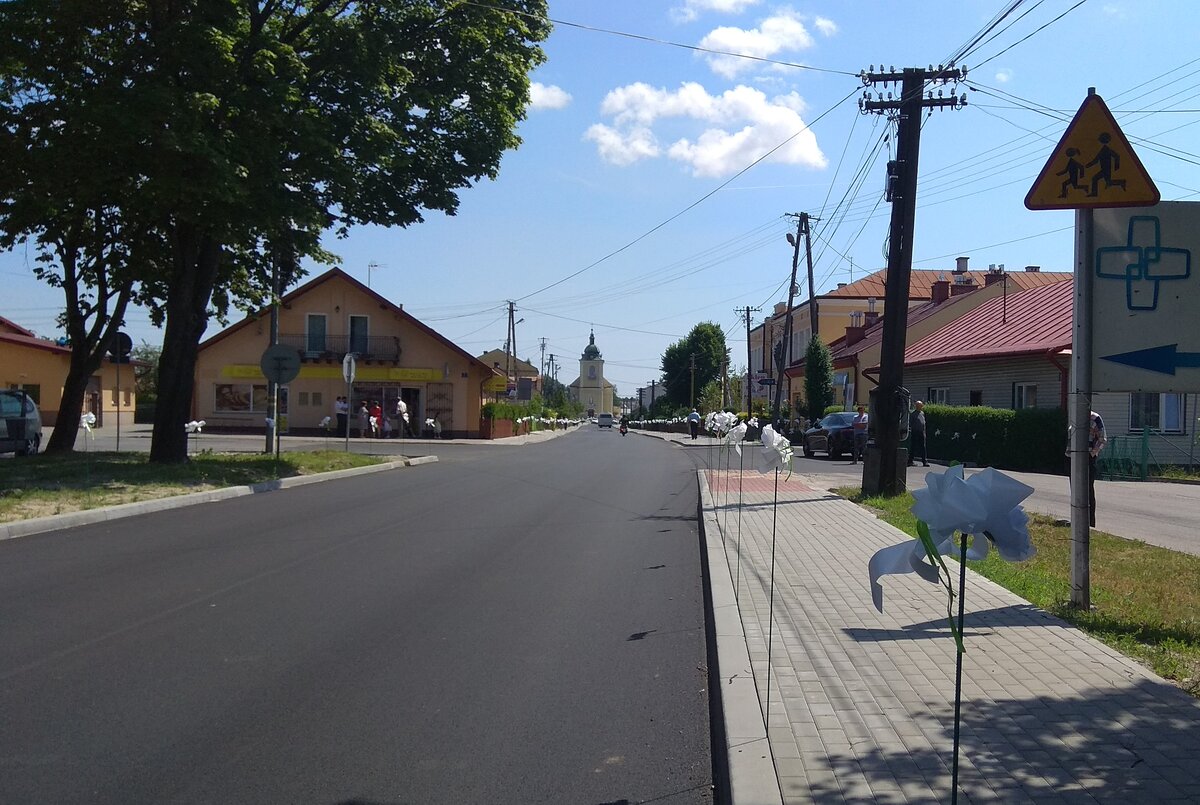 Вдоль дороги по обеим сторонам через каждые 3 метра стоят белые цветы