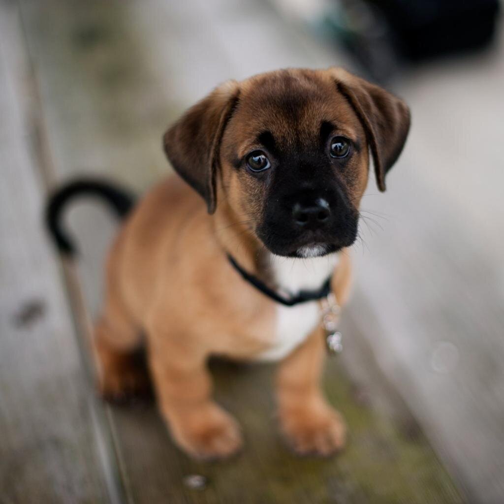 Зачем я тебе?