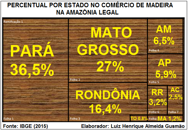 Структура коммерческой вырубки лесов в Амазонии. Штат Амазонас обозначен буквами AM