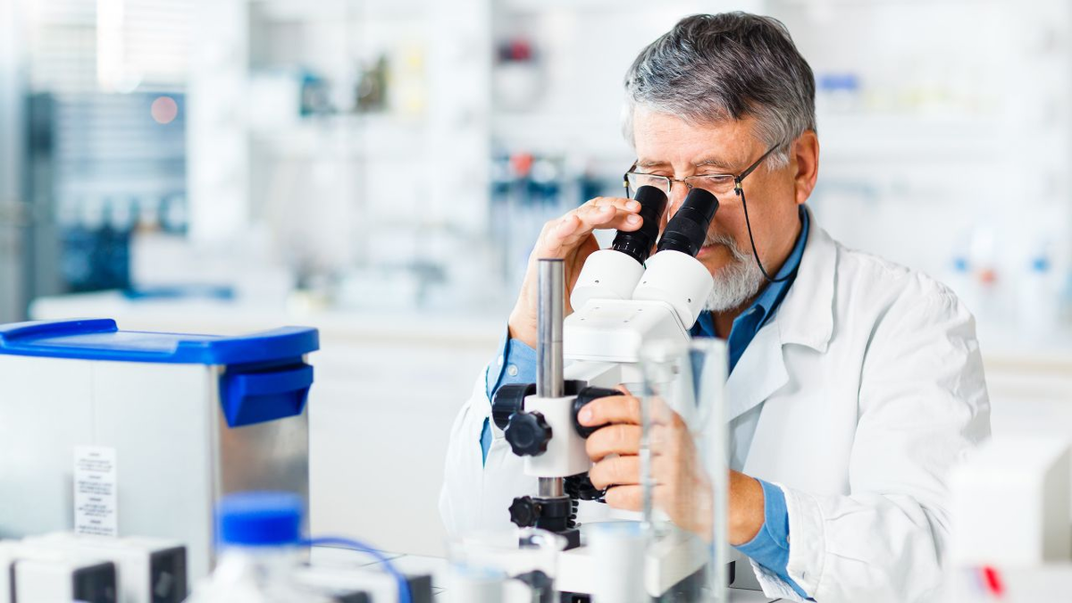 Фото с Яндекс картинки