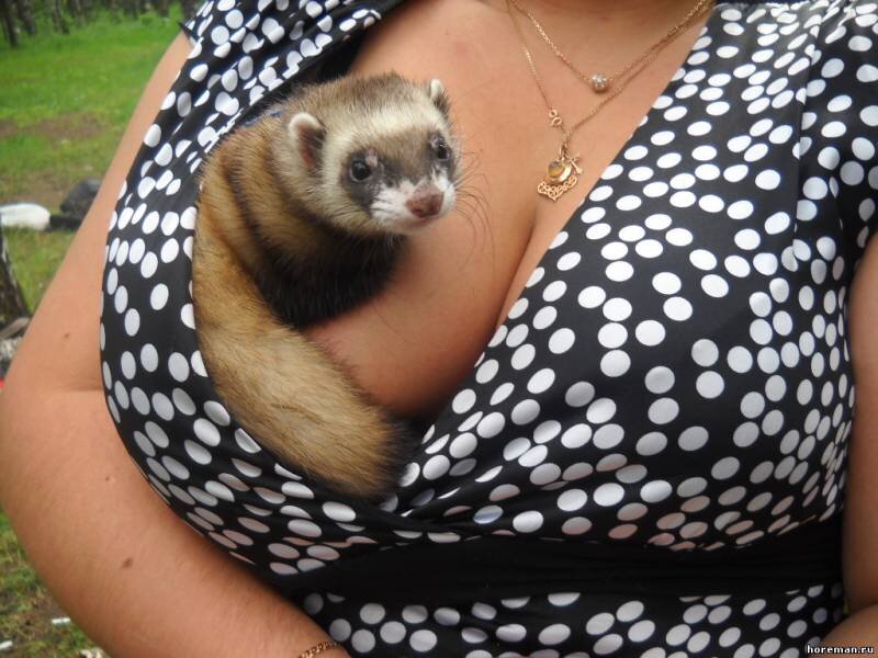 ФОТО ВЗЯТО С ОТКРЫТЫХ ИСТОЧНИКОВ ЯНДЕКСА