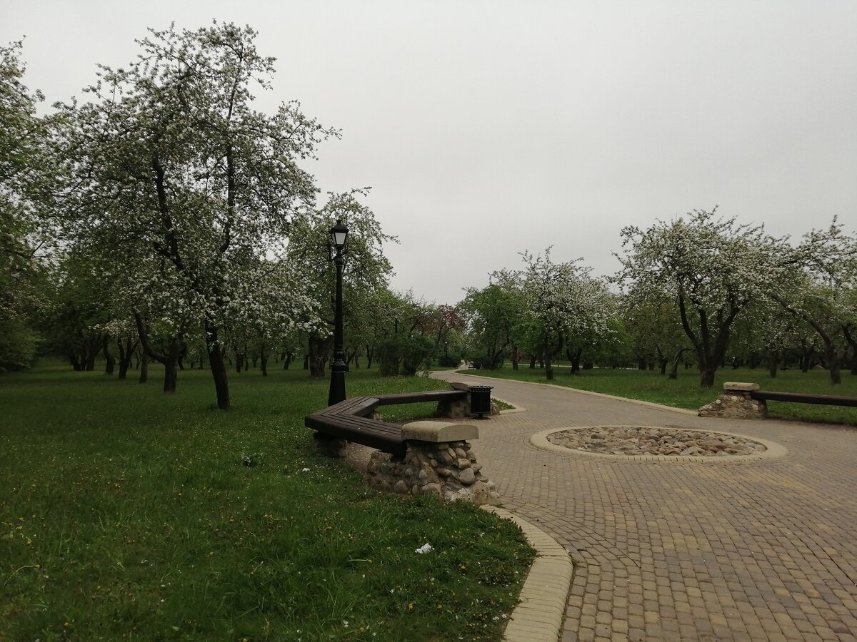 Яблоневый парк в Минске