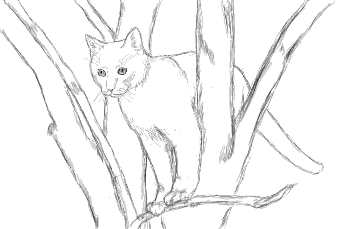 Вот примерно вот так вот, тоска во взгляде, прямо сейчас ноги рвутся бежать, руки рвутся спасать.