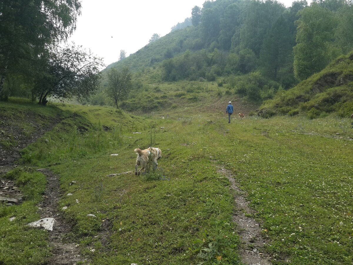 Влад с Роем и Дивой.