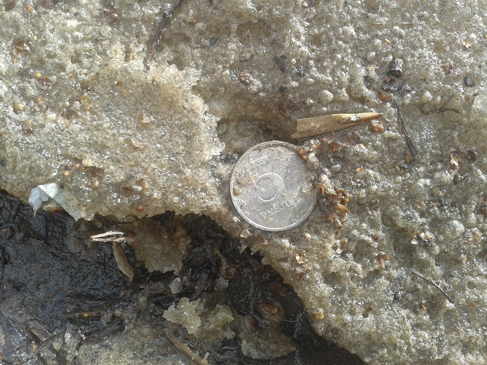 Изображение взято с сайта : alexio-marziano.liveyournal.com