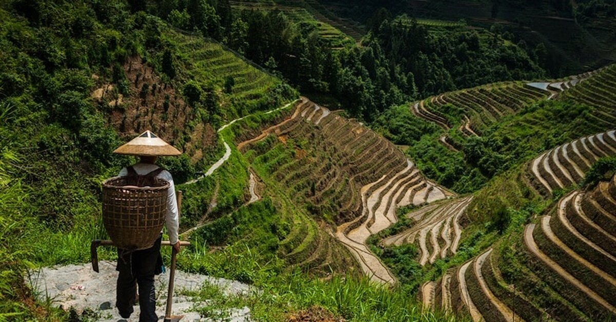 Использованы фото из открытых источников