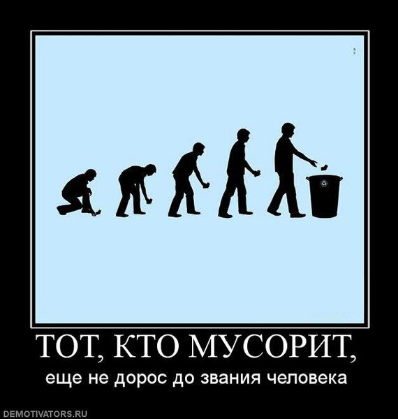 Фото с http://www.privetsochi.ru