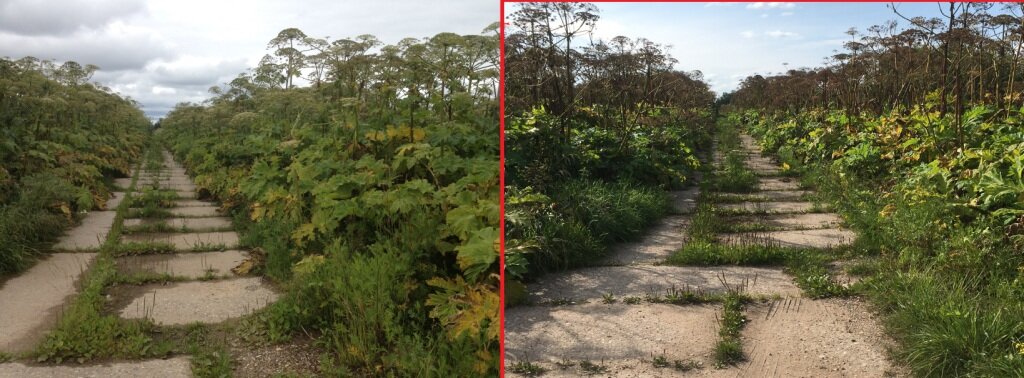 Июль 2018 и Август 2019 