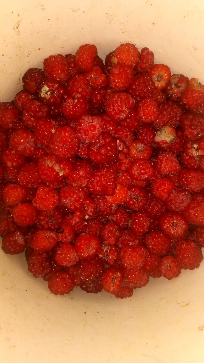 вот такая красавица