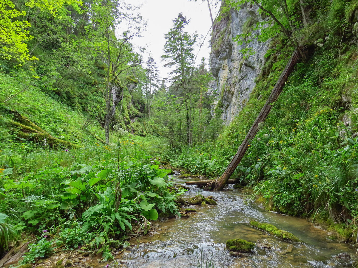 Курджипское ущелье фото