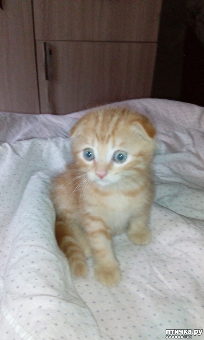 Люку 1 мес. и 1 нед.