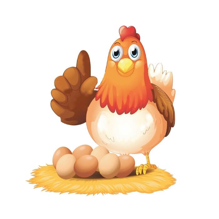 Автоматизация птицеводства. Курица знает, что она хочет