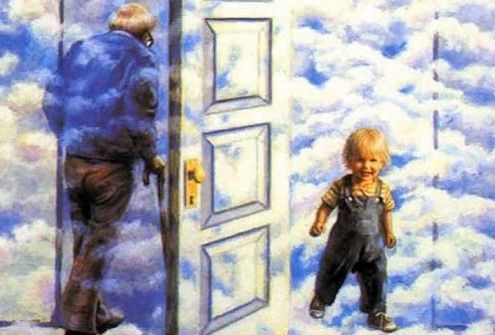 Очередное воплощение