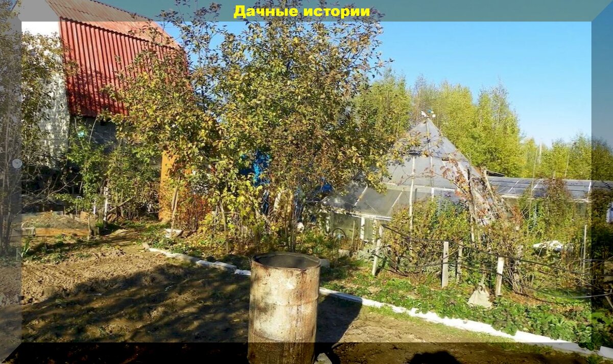https://vk.com/photo-159774511_457242375 