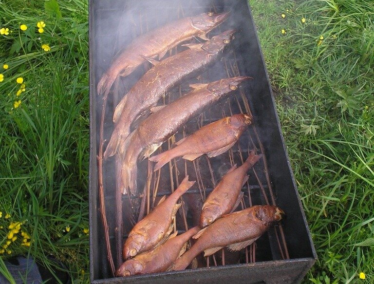 Радужная форель на мангале на решетке. Обыкновенный прилипало (echeneis naucrates). Лосось на сковороде. Жареная рыба скумбрия. Мангал рыба.