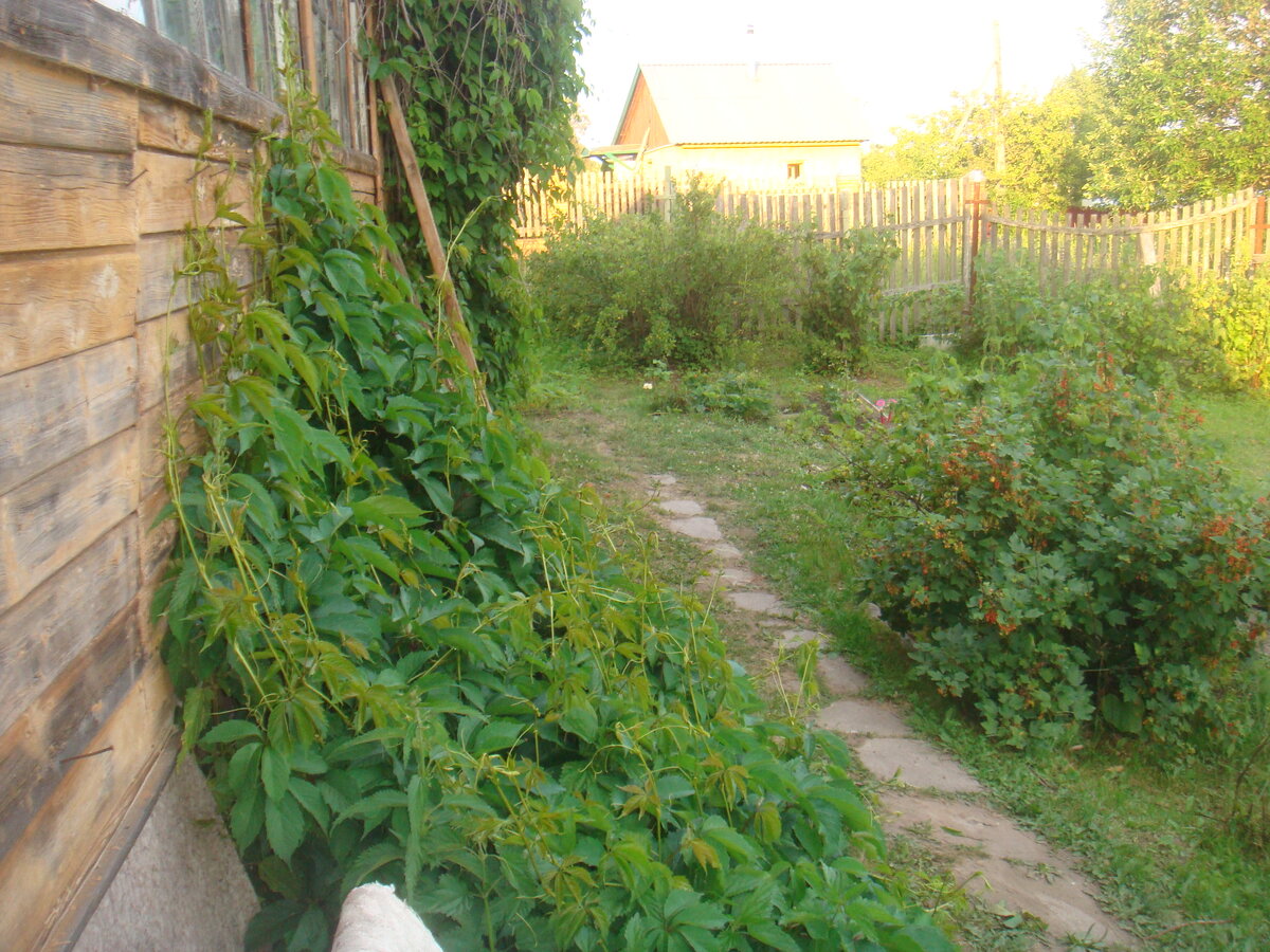 Православная семья в деревне