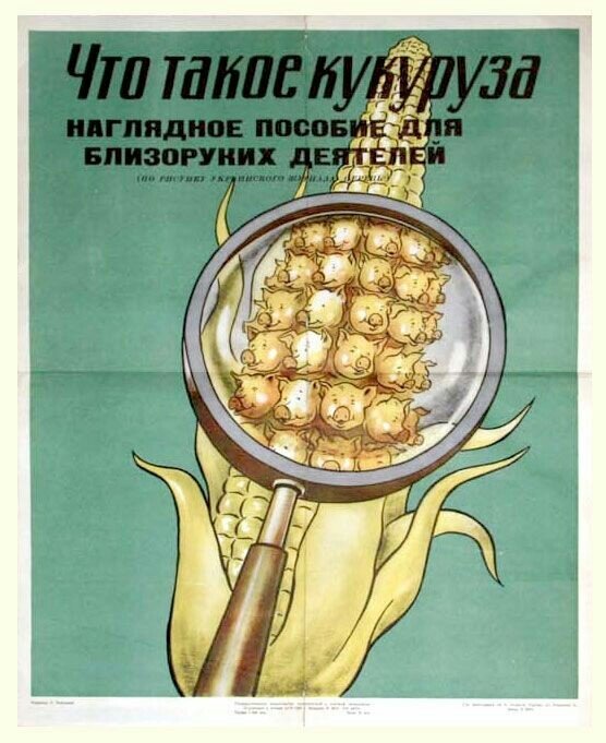 Так вот из чего кукуруза состоит