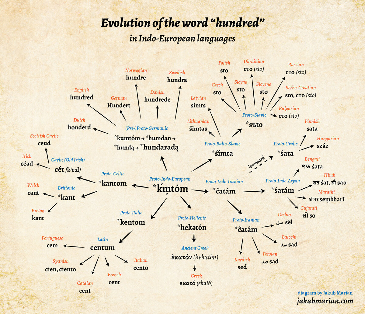 Сто языков. Indo European languages. Evolution in Indo-European. Indo European language Family Tree. Proto Indo European language