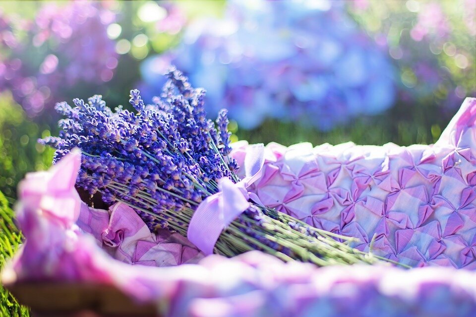 https://pixabay.com/photos/lavender-fresh-flowers-herbal-2482372/